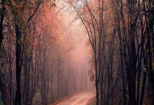 初中信息技术ppt教学教案免费版,初中信息技术优秀课件