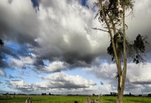 信息化教学资源,信息化教学资源名词解释