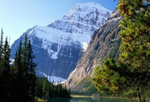 信息化教学资源,信息化教学资源名词解释